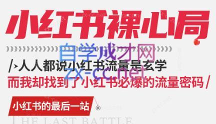 月月老师·小红书低粉高变现课-金易项目网