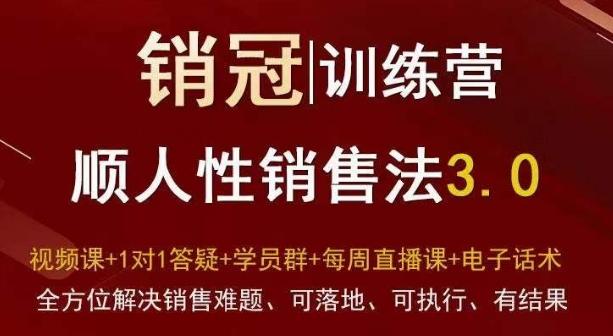 爆款！销冠训练营3.0之顺人性销售法，全方位解决销售难题、可落地、可执行、有结果-金易项目网