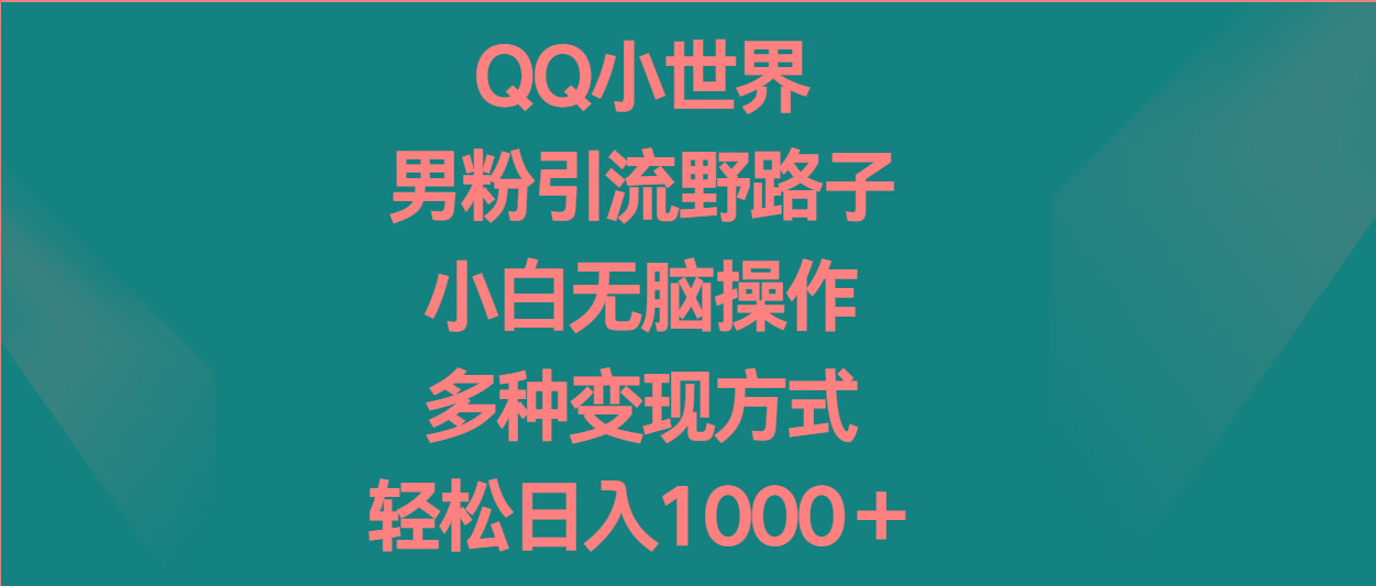 QQ小世界男粉引流野路子，小白无脑操作，多种变现方式轻松日入1000＋-金易项目网