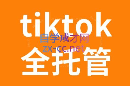 TikTok跨境电商全托管运营模式精品课-金易项目网