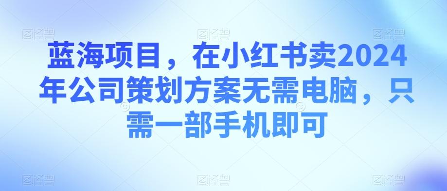 蓝海项目，在小红书卖2024年公司策划方案无需电脑，只需一部手机即可-金易项目网