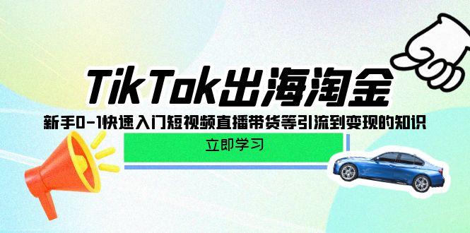 (10035期)TikTok-出海淘金，新手0-1快速入门短视频直播带货等引流到变现的知识-金易项目网