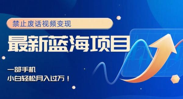 最新蓝海项目，靠禁止废话视频变现，一部手机，小白轻松月入过万！-金易项目网