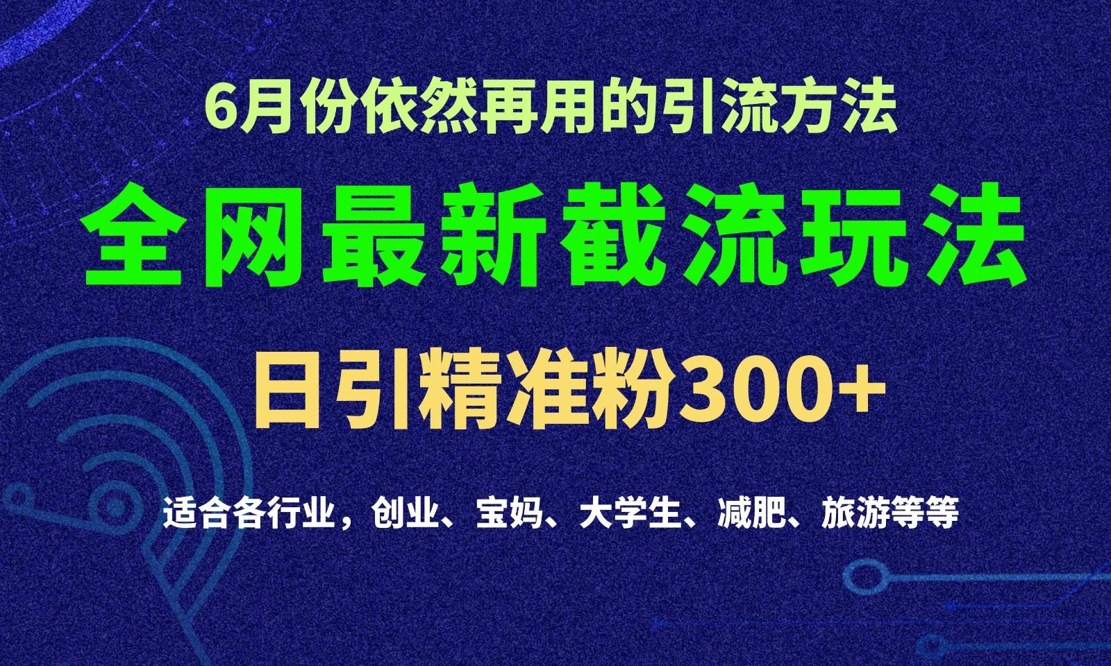 2024全网最新截留玩法，每日引流突破300+-金易项目网