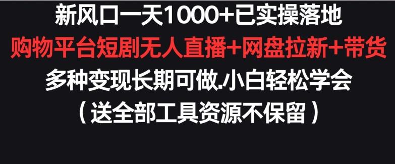 新风口一天1000+已实操落地购物平台短剧无人直播+网盘拉新+带货多种变现长期可做【揭秘】-金易项目网