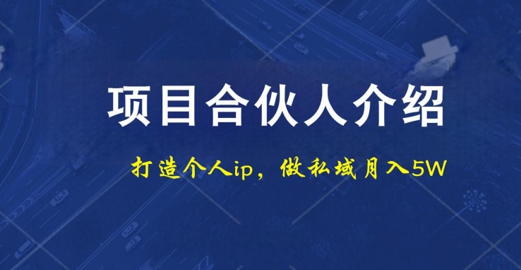 项目合伙人项目，打造个人IP，做私域月入5W，小白勿扰-金易项目网