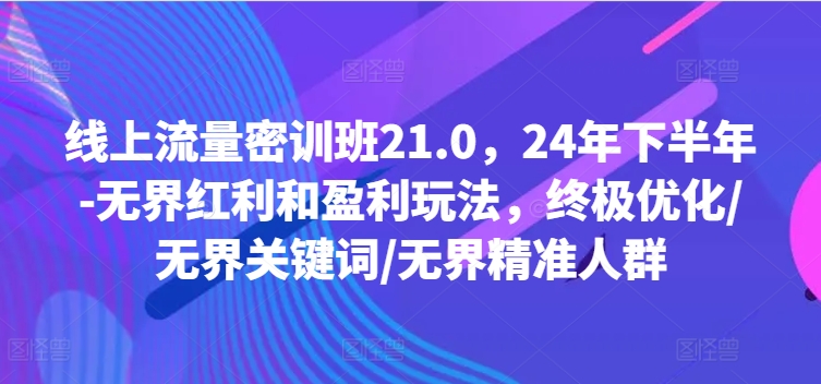线上流量密训班21.0，24年下半年-无界红利和盈利玩法，终极优化/无界关键词/无界精准人群-金易项目网