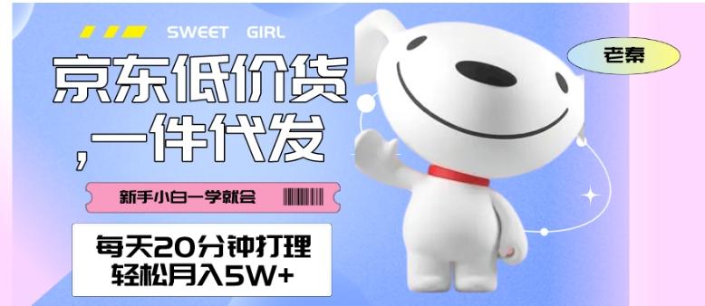 每天20分钟打理京东低价货，一件代发-轻松月入5W＋-金易项目网