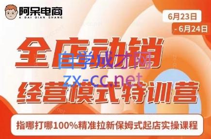 阿呆电商·全店动销经营模式特训营(线下录音+思维导图)-金易项目网