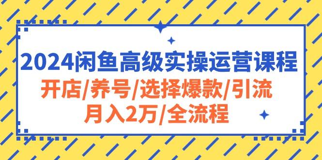 2024闲鱼高级实操运营课程：开店/养号/选择爆款/引流/月入2万/全流程-金易项目网
