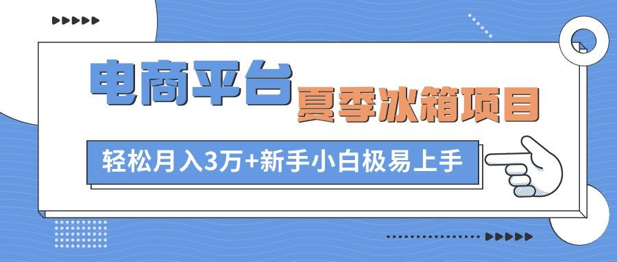 电商平台夏季冰箱项目，轻松月入3万+，新手小白极易上手-金易项目网