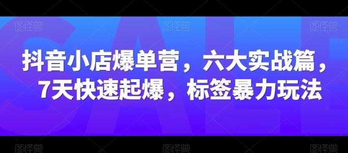 抖音小店爆单营，六大实战篇，7天快速起爆，标签暴力玩法-金易项目网