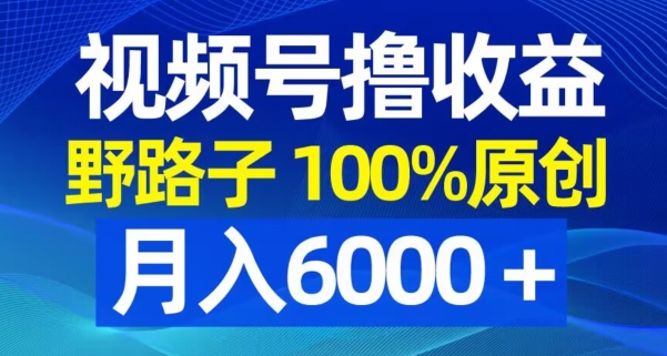视频号野路子撸收益，100%原创，条条爆款，月入6000＋【揭秘】-金易项目网