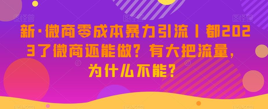 新·微商零成本暴力引流丨都2023了微商还能做？有大把流量，为什么不能？-金易项目网