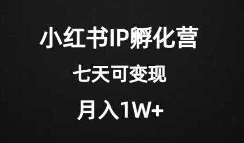 价值2000+的小红书IP孵化营项目，超级大蓝海，七天即可开始变现，稳定月入1W+-金易项目网