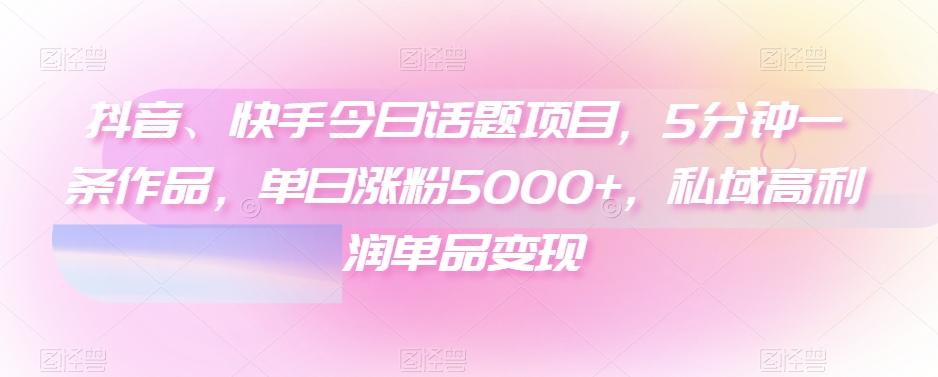 抖音、快手今日话题项目，5分钟一条作品，单日涨粉5000+，私域高利润单品变现-金易项目网
