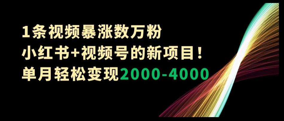 1条视频暴涨数万粉–小红书+视频号的新项目！单月轻松变现2000-4000【揭秘】-金易项目网