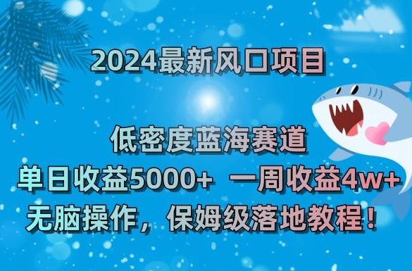 2024最新风口项目，低密度蓝海赛道，单日收益5000+，一周收益4w+！【揭秘】-金易项目网
