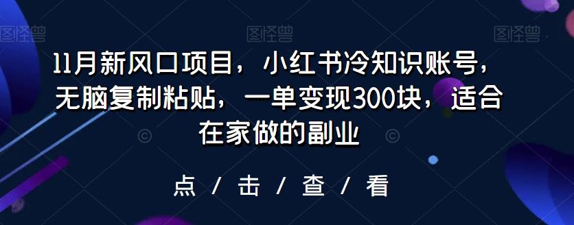 11月新风口项目，小红书冷知识账号，无脑复制粘贴，一单变现300块，适合在家做的副业-金易项目网