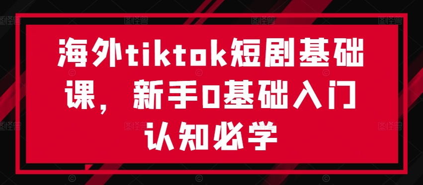 海外tiktok短剧基础课，新手0基础入门认知必学-金易项目网