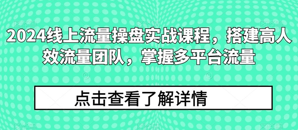 2024线上流量操盘实战课程，搭建高人效流量团队，掌握多平台流量-金易项目网