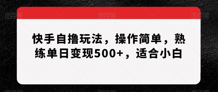 快手自撸玩法，操作简单，熟练单日变现500+，适合小白【揭秘】-金易项目网