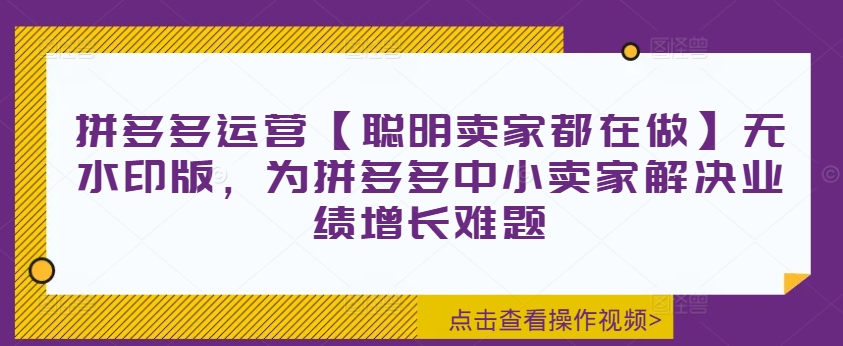 拼多多运营【聪明卖家都在做】无水印版，为拼多多中小卖家解决业绩增长难题-金易项目网
