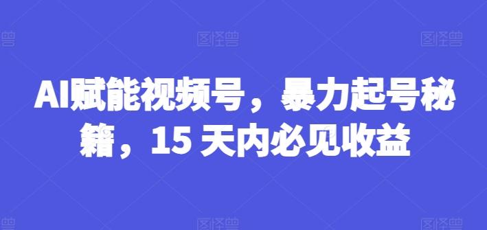 AI赋能视频号，暴力起号秘籍，15 天内必见收益【揭秘】-金易项目网