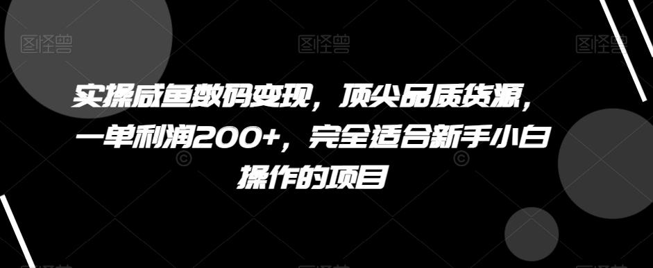实操咸鱼数码变现，顶尖品质货源，一单利润200+，完全适合新手小白操作的项目【揭秘】-金易项目网