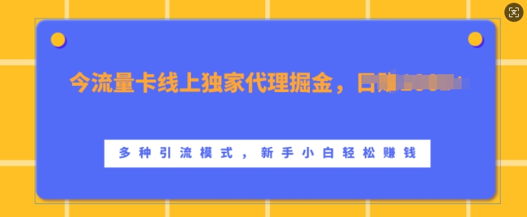 流量卡线上独家代理掘金，日入1k+ ，多种引流模式，新手小白轻松上手【揭秘】-金易项目网