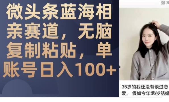 微头条蓝海相亲赛道，无脑复制粘贴，单账号日入100+-金易项目网
