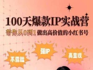 小红书100天爆款IP实战营，带你从0到1做出高价值的小红书号-金易项目网