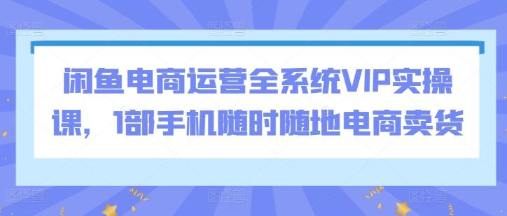 闲鱼电商运营全系统VIP实操课，1部手机随时随地电商卖货-金易项目网
