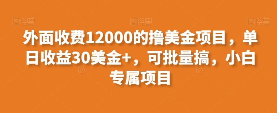 外面收费12000的撸美金项目，单日收益30美金+，可批量搞，小白专属项目-金易项目网