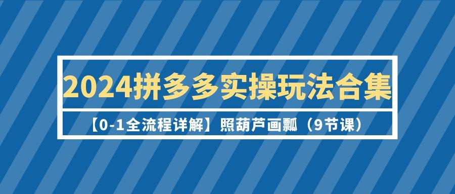 (9559期)2024拼多多实操玩法合集【0-1全流程详解】照葫芦画瓢(9节课)-金易项目网