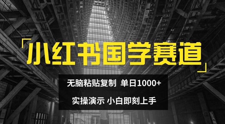 小红书国学赛道，无脑粘贴复制，单日1K，实操演示，小白即刻上手【揭秘】-金易项目网