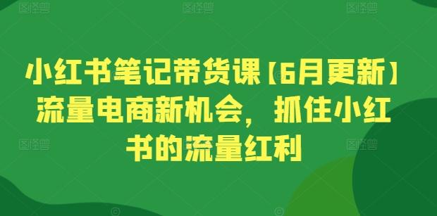 小红书笔记带货课【6月更新】流量电商新机会，抓住小红书的流量红利-金易项目网