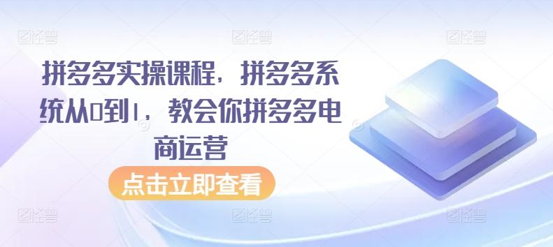 拼多多实操课程，拼多多系统从0到1，教会你拼多多电商运营-金易项目网