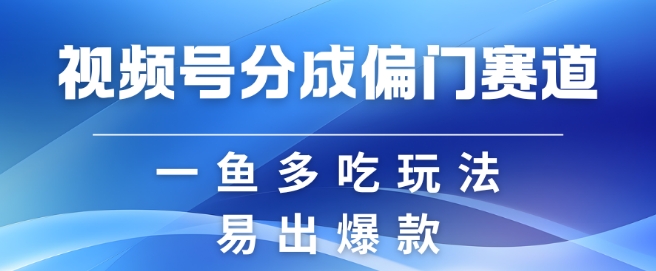 视频号创作者分成计划偏门类目，容易爆流，实拍内容简单易做【揭秘】-金易项目网
