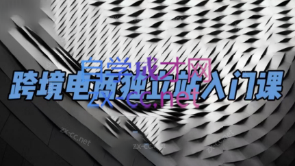 团长·跨境电商独立站入门课(2小时精华)-金易项目网