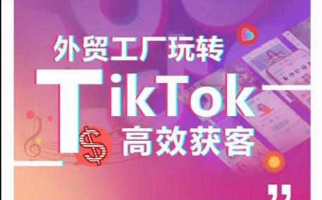 外贸工厂玩转TikTok高效获客，多种引流方式与账号定位技巧，拆解爆款短视频打造成功案例-金易项目网