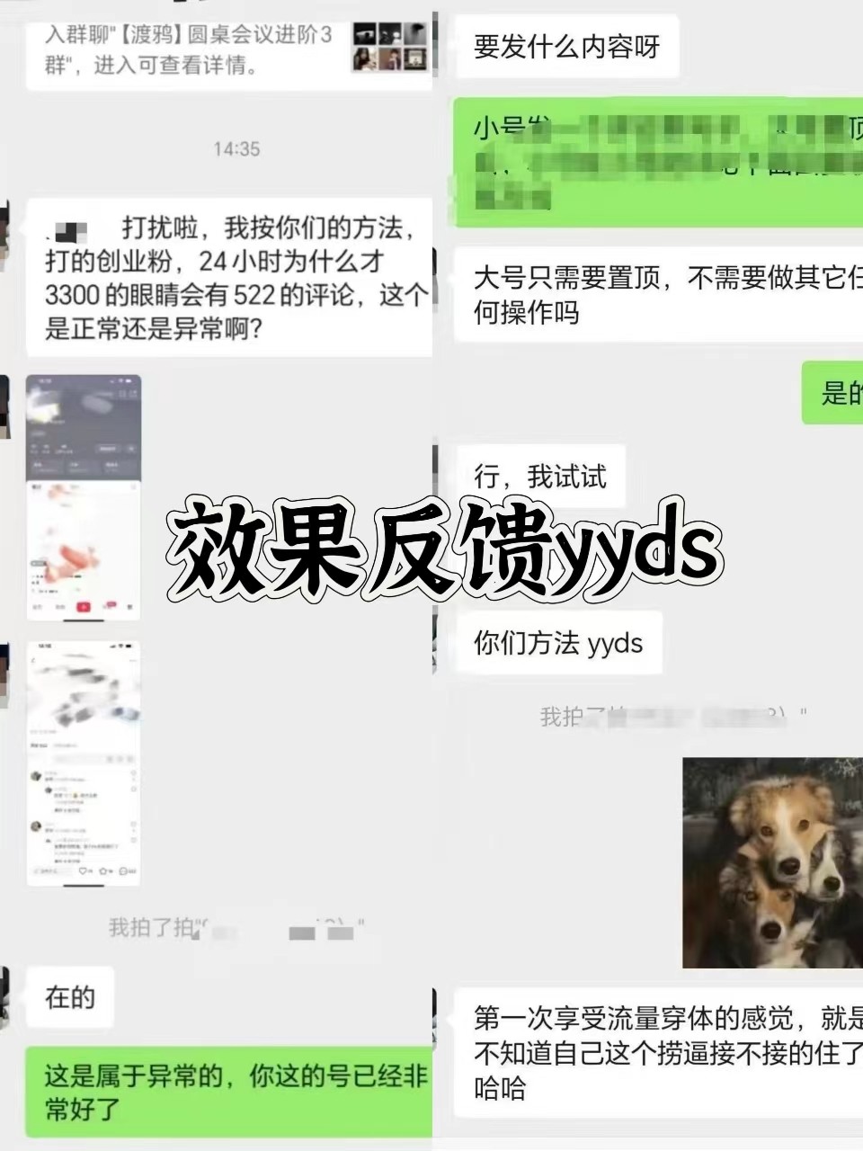 图片[3]-抖音小红书视频号全平台引流打法，全自动引流日引2000+精准客户-金易项目网