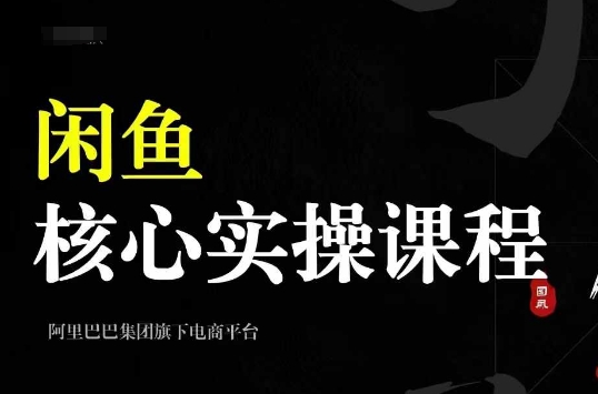 2024闲鱼核心实操课程，从养号、选品、发布、销售，教你做一个出单的闲鱼号-金易项目网