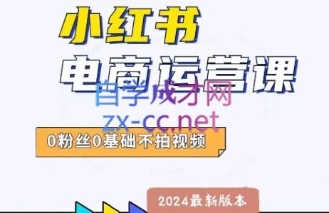 达哥·小红书电商运营(2024版)-金易项目网