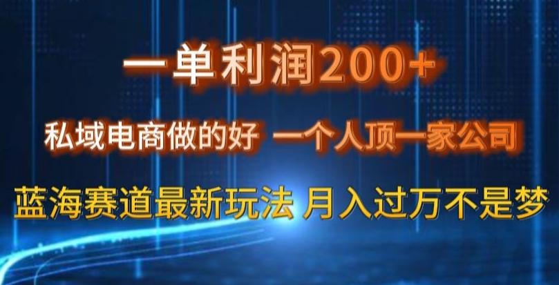 一单利润200私域电商做的好，一个人顶一家公司蓝海赛道最新玩法【揭秘】-金易项目网