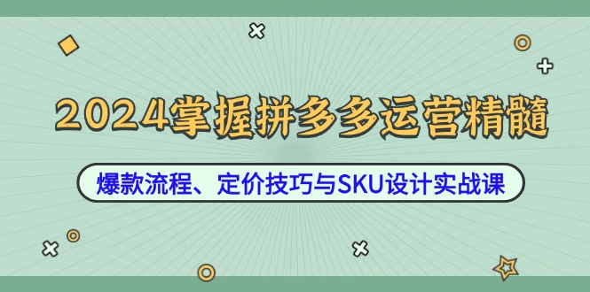 2024掌握拼多多运营精髓：爆款流程、定价技巧与SKU设计实战课-金易项目网