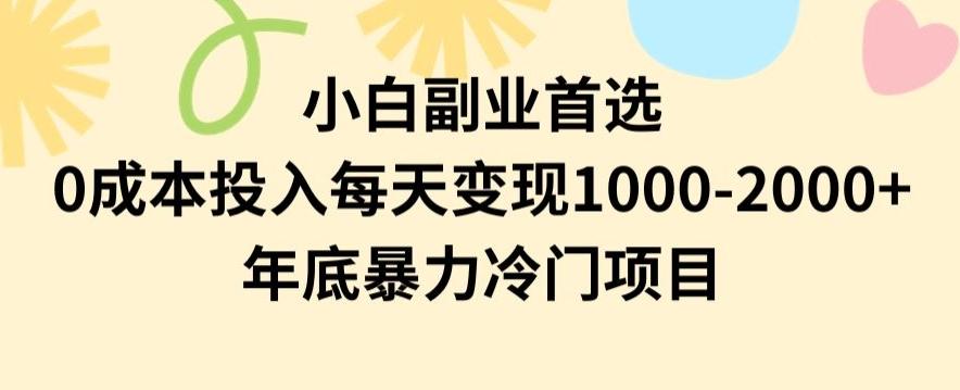 小白副业首选，0成本投入，每天变现1000-2000年底暴力冷门项目【揭秘】-金易项目网