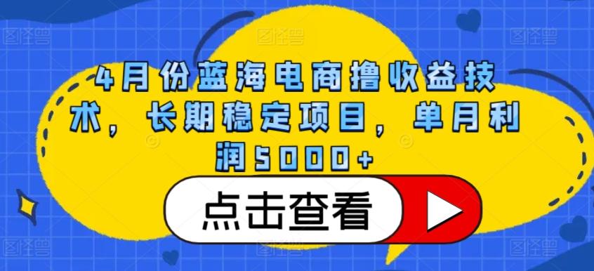 4月份蓝海电商撸收益技术，长期稳定项目，单月利润5000+【揭秘】-金易项目网