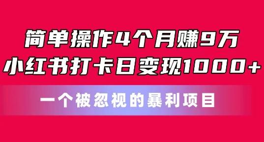 简单操作4个月赚9w，小红书打卡日变现1k，一个被忽视的暴力项目【揭秘】-金易项目网