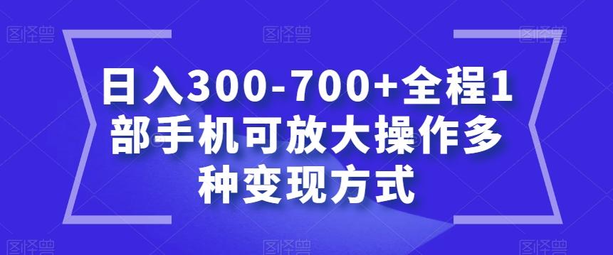 日入300-700+全程1部手机可放大操作多种变现方式【揭秘】-金易项目网